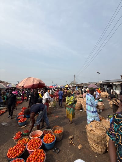 This image depicts a bustling open-air market in Ogere, Nigeria, under a bright, partly cloudy sky. The ground consists of uneven, reddish-brown dirt. In the immediate foreground on the left, numerous plastic basins and woven baskets are filled with large quantities of fresh, ripe red tomatoes and some red chili peppers. A man in a dark blue t-shirt and jeans is bent over, facing away from the camera, reaching into a basin of tomatoes.
Throughout the midground and background, a large crowd of individuals, primarily adults, are visible. They are dressed in a mix of casual attire and traditional Nigerian garments, including vibrant patterned dresses and flowing robes. Many people are walking, standing, and interacting within the market space. Several large, reddish-brown market umbrellas and smaller colorful umbrellas provide shade over various stalls.
On the right side of the image, numerous large, brown woven baskets, some wrapped in brown paper or sacks, are stacked on the ground, likely containing other produce such as onions. A man in a blue and white patterned agbada-style outfit stands near these baskets, holding a white smartphone. A woman in a green and yellow patterned dress stands observing the scene with her hands on her hips.
In the background, temporary market stalls with various coverings, including corrugated metal sheets and tarpaulins, line the perimeter. A utility pole with multiple overhead power lines and a street light with a solar panel are visible on the right side against the sky. The market appears crowded and active, consistent with a daily commercial hub.