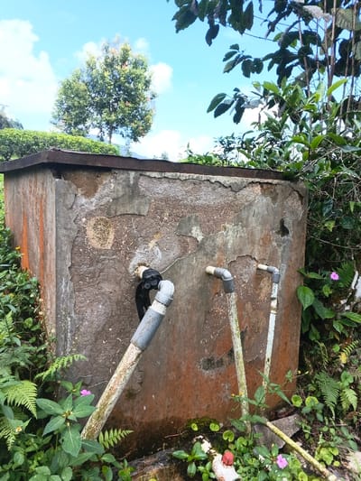 A weathered concrete structure stands amidst dense foliage under a partly cloudy sky. The structure is a rectangular box with a metal top and visible cracks and discoloration on its surface. Three PVC pipes protrude from the front, one with black tape wrapped around it. Lush green plants surround the structure, including ferns, small flowering plants, and various shrubs. A taller tree and other vegetation fill the background.