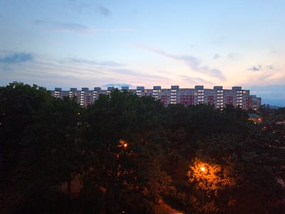 A panoramic, eye-level, long shot captures a row of identical apartment buildings against a dusky sky in the city of Most, Czechia. The sky transitions from a light blue at the top to pastel pink and orange hues near the horizon, with thin, wispy clouds. The buildings are long and rectangular, with multiple floors of windows, some of which are illuminated, suggesting the presence of inhabitants. Dense, dark green trees form a thick canopy in the foreground, obscuring the base of the buildings and creating a natural border between the viewer and the urban landscape. Streetlights are visible through the foliage, casting an orange glow on the leaves. The overall scene conveys a sense of twilight in a residential area.