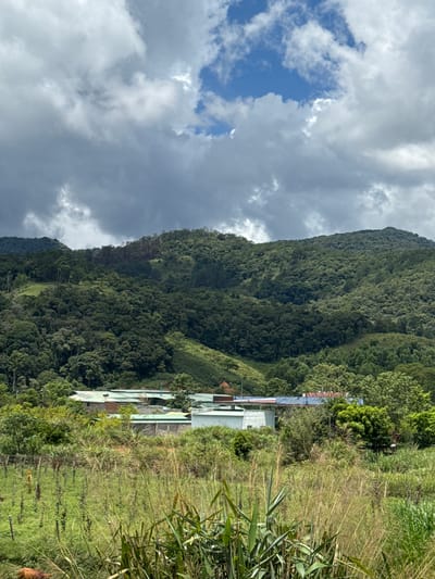 This image captures a scenic view of a rural area, likely in the vicinity of Klong Klanh, Vietnam, characterized by lush green mountains and a cluster of buildings in the mid-ground. The sky above is a mix of dramatic, dark clouds and patches of bright blue, suggesting a dynamic weather system.
The foreground is dominated by tall, dry grasses and other wild vegetation, with a hint of a brown animal, possibly a cow, visible on the far left. A simple fence runs through this area.
In the middle ground, a collection of low-rise buildings with green roofs are nestled amongst dense trees and foliage. These structures appear to be residential or perhaps agricultural in nature. Some buildings have concrete walls, while others are partially obscured by vegetation. A sign with some lettering is visible above one of the structures.
The background features a majestic, densely forested mountain range that rises steeply. The slopes are covered in a variety of trees, creating a rich tapestry of green hues. The texture of the forest suggests a diverse ecosystem. The overall impression is one of natural beauty and rural tranquility, with human settlement integrated into the landscape.