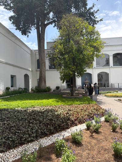 This media file captures an outdoor courtyard or garden area, likely part of a building complex, under bright daylight.
**Subjects:** The scene features several people gathered near a wall, a large tree with a thick trunk dominating the left side, and another tree with lighter green foliage on the right. The white building in the background has multiple arched windows and a classical architectural style. Lush landscaping fills the garden beds, including ground cover plants, small flowering plants with purple blooms, and mulched areas. A paved pathway runs along the right edge, bordered by white pebbles that also separate different plant sections. A decorative wall fountain with intricate blue, white, and brown tiled patterns is visible behind the group of people.
**Activity or event taking place:** A small group of people (approximately 5-6) are seen standing and congregating in front of the wall fountain, appearing to observe it or engage in conversation.
**Notable details:** The time of day is clearly sunny, indicated by the bright illumination and visible shadows, suggesting mid-morning or late afternoon. The sky is blue with scattered white clouds. The architecture, with its white walls and arched openings, implies a traditional or colonial design, consistent with the given location context of San Lucas el Grande, Mexico. The garden is meticulously maintained, featuring varied plant textures and colors, including a striking border of white pebbles. The intricate tile work on the wall fountain is a distinctive decorative element.
**Any visible text:** No legible text is visible in the image.