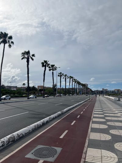 This image captures an elevated road in Las Palmas, Spain, with palm trees lining the left side. The road features two lanes, a red bike path, and a sidewalk with a circular pattern design. A row of tall palm trees separates the road from the city skyline. The sky is partly cloudy with patches of blue visible. There are some cars parked along the road and a speed limit sign in the background.