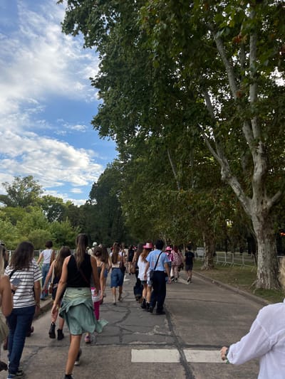 An outdoor scene in San Isidro, Argentina, depicts a large group of individuals, primarily young adults, walking forward on a paved path away from the camera's perspective. The path shows signs of wear, with visible cracks and white painted markings. To the right, a consistent line of mature trees with distinctive light-colored, mottled bark and dense green foliage borders the path. Further right, in the mid-ground, white temporary crowd control barriers are visible, suggesting an event perimeter. To the left, a dense expanse of green trees forms a natural boundary. The sky is partly cloudy with patches of clear blue visible above the tree line.
Individuals are dressed in casual attire. Notable clothing items include several pink cowboy hats, a light blue t-shirt with graphics, and various jeans, shorts, and skirts. One person in the immediate foreground, to the left, wears a striped top and dark jeans, holding a mobile phone. Another central figure wears a black tank top with a light green or teal garment tied around their waist. A person in the lower right corner, partially visible, wears a white long-sleeved shirt. All individuals are engaged in the collective action of walking in the same general direction along the path. No specific interactions between individuals are discernible.