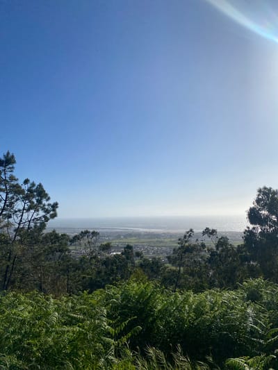 The photograph captures a landscape view from a high vantage point. The sky transitions from a deep blue on the left to a lighter, hazy blue towards the center and right of the frame. A lens flare is visible in the upper left corner. In the middle ground, a valley stretches out, revealing patches of green fields and a network of buildings suggesting a town or city. In the foreground, dense green vegetation fills the right side of the image, contrasting with the open sky and distant landscape. The composition is somewhat unbalanced due to the camera's orientation, with the sky dominating the left side and the vegetation dominating the right. The location is the city of Esposende, Portugal.