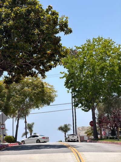 The image depicts a street scene in Newport Beach, California, United States of America. The street runs perpendicular to the view, with a light-colored concrete sidewalk on the right edge of the frame. A yellow painted line marks the edge of the street. Two vehicles, a white car and a white GMC truck, are parked along the street. Palm trees and leafy green trees line the street. A stop sign is visible near the truck. Power lines run above the street. An American flag is partially visible in the background, indicating residential properties. The sky is clear and blue.