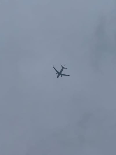 The image shows an airplane in flight against a gray sky. The airplane is centrally located in the frame and appears to be viewed from below. Based on the location information of Gimpo-si, South Korea, it is likely the airplane is near Gimpo International Airport.