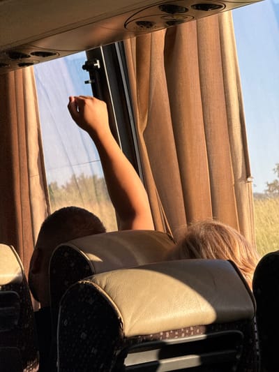The image captures a scene from inside a bus, with a focus on the window area. A person's arm is extended out of the bus, with their hand near the top of the window frame. Brown curtains are drawn to the side, revealing a sunny sky and a field of grass and trees in the distance. The interior of the bus shows seats, with the headrests of two seats visible in the foreground. The lighting suggests it is either early morning or late afternoon, with warm sunlight casting shadows. The exact location of Kiosevtsi, Bulgaria, cannot be determined solely from this image.