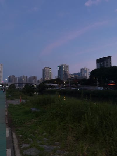 This media file shows a panoramic view of a city skyline with a lush green embankment on the right side. The skyline is dominated by numerous modern high-rise buildings of varying heights and architectural styles. Some buildings have a uniform appearance, while others feature distinct window patterns and balconies. Streetlights and lights from within the buildings indicate that it is dusk or early evening. The sky is a soft blue with hints of pink, suggesting a sunset or twilight.
The embankment is covered in dense green grass and some scattered rocks, with a paved path or road running alongside it at the bottom. The reflection of the buildings and lights can be seen in the water body adjacent to the embankment, though the water itself is not fully visible. Trees are sparsely dotted along the embankment and between some of the buildings in the background. There are a few cars visible on the road, suggesting urban activity. The overall scene evokes a peaceful and serene urban environment, possibly a park or riverside area within a city. No people are clearly visible in the image. No visible text is present in the image.