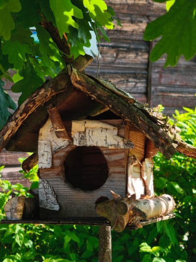 A close-up, vertical, eye-level shot features a rustic, handcrafted wooden birdhouse constructed from rough-hewn lumber and bark. The birdhouse has a circular entrance hole in the front and is adorned with pieces of birch bark and small branches. It is situated outdoors, likely in a garden or natural setting, with lush green foliage visible in the foreground and background. Behind the birdhouse, a weathered wooden wall, possibly from a fence or building, is visible. The overall impression is one of natural, handmade craftsmanship. The image does not contain any people or indicate a specific urban location.