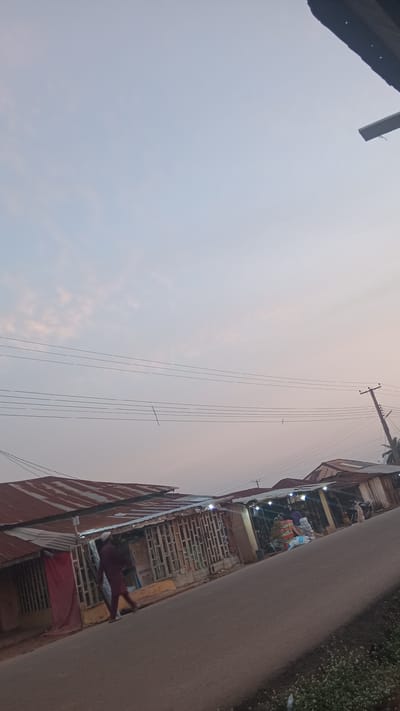 This image depicts a street scene in Donga, Nigeria, likely at dusk or dawn due to the soft, diffused light. The perspective is from a low angle, looking upwards towards a hazy sky. A power pole with multiple wires stretches diagonally across the frame, indicating an urban or semi-urban setting.
To the right of the power lines, a row of simple, open-fronted structures resembling market stalls or small shops line a paved road. These buildings appear to be constructed from corrugated metal and brick. Inside some of these structures, items are displayed for sale, including what looks like boxed goods, sacks, and possibly fabrics. There are visible lights within some of the stalls, suggesting they are either illuminated for business or were recently used.
One stall has a red cloth draped in front. A person, wearing a dark red garment, is visible walking away from the viewer, towards the right side of the frame, in front of one of the stalls. The overall scene suggests a local marketplace or a street with small businesses operating. The sky is a pale grey with hints of pink and orange, consistent with twilight. The ground appears to be a road or pathway, with some greenery visible along the right edge of the frame. The image captures a slice of everyday life in this Nigerian community.