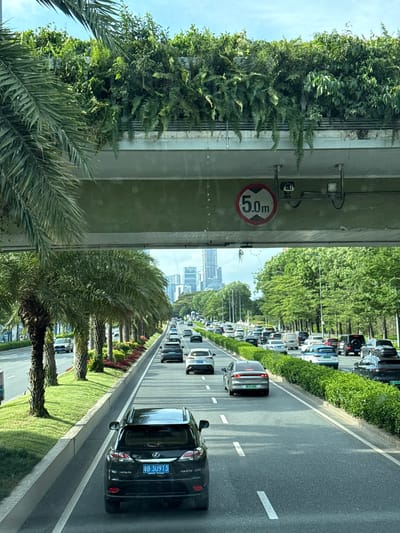 The image shows a view from a moving vehicle on a road in Nanshan District, China, characterized by dense traffic. A black Lexus RX270 with license plate 粤B·3U9T3 is prominently visible. The road is lined with palm trees and greenery on either side, with a median strip separating the lanes. An overpass with a 5.0m height restriction sign is overhead, covered with vegetation. In the distance, city skyscrapers can be seen. The sky is partly cloudy.