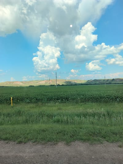A wide shot captures a vast, green field under a bright blue sky with scattered white clouds. In the foreground, a dirt path is visible at the bottom of the frame, bordered by a lush green grassy verge. The field itself appears to be a crop, possibly sunflowers, with numerous plants densely packed together. A bright yellow marker stands in the middle ground on the left side of the field. In the distance, rolling hills with layered bands of green and reddish-brown vegetation form the horizon. Two utility poles with wires stretch across the landscape, one closer to the left and another further to the right. The scene is a rural landscape, likely in or around Старокутлумбетьево, Russia, given the context, characterized by agricultural land and natural topography.