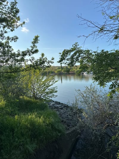 The image shows a view of Beloslav Lake in Bulgaria, taken from the lakeshore. The water reflects the opposite bank, where trees and possibly a building can be seen. The foreground includes foliage - trees and grass along the shoreline. A rocky embankment is visible between the grass and the water's edge. The sky is blue with some wispy clouds. The image is rotated 90 degrees counter-clockwise.