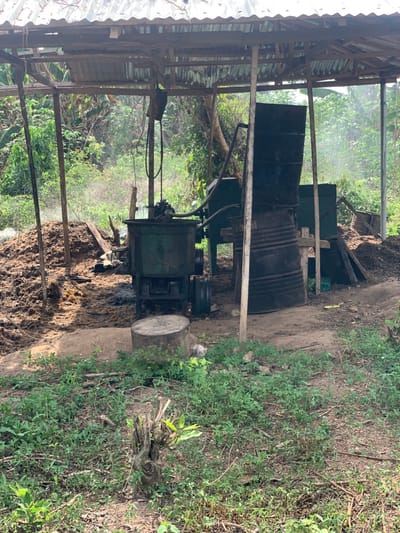 The image shows a large metal drum and an industrial-looking machine, likely for processing palm oil, located near an open-air structure in Egbeda, Nigeria. The machine is green with a large metal container and a black pipe running from its top. The machine is partially covered by the structure, which is made of wooden beams and corrugated metal. There are two large piles of material, likely palm fruit, on the ground around the machine. The ground is covered in dirt and leaves, and there is vegetation surrounding the structure. The surrounding area is a dense thicket of green foliage. The coordinates provided are in a rural area of Egbeda, and the image appears to be of a small-scale palm oil processing operation.