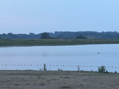 This image depicts a serene lake scene in Preetz, Germany, during what appears to be early morning or late evening due to the soft, diffused light. The foreground is a dry, dusty bank with sparse vegetation. A calm body of water stretches across the middle ground, with a row of buoys marking a boundary in the water. In the distance, a tree line forms a dark, undulating silhouette against a pale, hazy sky. A single, larger spherical buoy is visible further out in the lake, to the right of the center. There are no people or animals visible in the image.