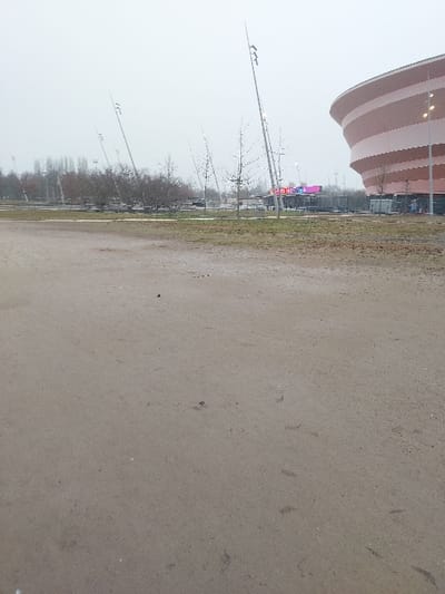 The image depicts an outdoor scene in Eckbolsheim, France, in the vicinity of the Zénith Strasbourg Europe concert hall, under an overcast sky. The foreground consists of an expanse of light-brown, compacted dirt or sand, showing faint indentations consistent with footprints, along with scattered dry leaves and sparse patches of light-green grass.
In the midground, a row of bare deciduous trees and shrubs is visible, interspersed with patches of grass and several tall, slender, angled light poles, each fitted with multiple luminaires. To the far right, the prominent, curved, multi-tiered facade of the Zénith Strasbourg Europe building is observed, rendered in alternating bands of light pink and reddish-brown. Behind the trees and light poles on the right, a brightly illuminated sign with pink, blue, and green elements is discernible. Further back, additional bare trees and indistinct urban structures are visible. No individuals are present in the frame, and no specific actions or interactions are occurring. The environment suggests a temperate, possibly winter, season.