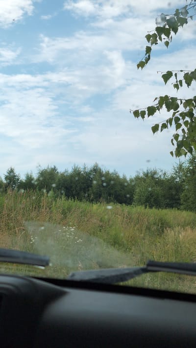 A view from inside a vehicle shows a landscape in Yarishnoe (Zinyakovskii S/S), Russia. The sky is blue with scattered white clouds. A tree with green leaves is visible in the upper right corner, with branches extending into the frame. The middle ground features a dense line of dark green trees, with a field of tall, dry grass and some white wildflowers in front of them. The foreground shows the interior of a vehicle, including the dashboard and windshield wipers. The windshield has several water droplets or specks on it, creating blurry circles.