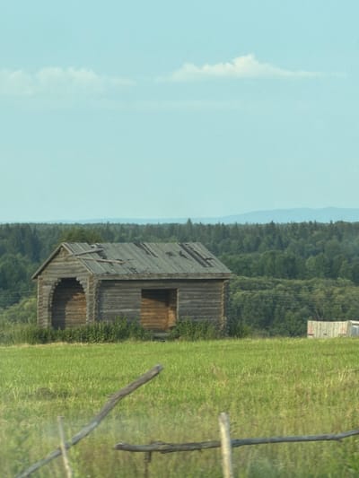 The image depicts a rustic wooden structure, possibly an abandoned shed or small house, situated in a vast, overgrown field. The building, constructed from horizontal logs, exhibits signs of disrepair with gaps in its roof and weathered wood. Two distinct openings, one arched and the other rectangular, are visible on the front facade. The field is covered in lush green grass and various wild plants, with a few weathered wooden fence posts and branches scattered in the foreground, suggesting a rural or derelict setting. In the background, a dense forest stretches across the horizon, with rolling hills and a pale blue sky with sparse clouds completing the scene. To the right, a white structure, possibly a tarp or shelter, is visible partially obscured by grass. The overall impression is one of isolation and decay, consistent with a remote location.