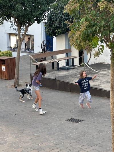 The image depicts an outdoor daytime scene in Calella De Palafrugell, Spain, featuring two children, a dog, and architectural elements.
In the foreground, a young female, estimated to be a pre-teen, with long dark hair, walks leftward on light grey paver stones. She wears a purple t-shirt, light denim shorts, white socks with black stripes, and checkered slip-on shoes. Her left hand holds a small blue object. Beside her, to her left, a medium-sized merle-patterned dog with a black, white, and bluish-grey coat and a harness walks on the paved surface. Slightly to the right and forward of the first child, a younger child, identified as a female, with light brown curly hair, is captured in mid-air, suggesting a jumping or running motion. She wears a dark blue long-sleeved shirt with white text (partially legible as "The Sea Everyday it's the..."), light grey loose-fitting pants, and pink sneakers. Her arms are outstretched, and her gaze is directed forward. A black metal drain grate is visible on the ground below her.
The background features white-painted buildings with blue architectural accents. On the left, a shopfront window displays "l'enpora" and other text, with a blurred figure visible inside. In the mid-ground, behind a low, dark-colored barrier or planter, is a long wooden bench with black supports. To the left of the bench, an antique-looking dark metal mechanism with a large wheel is present. A white rope barrier with black posts runs in front of the bench and mechanism. Further back, another white building with a dark blue door is visible. Green trees with varying foliage are situated throughout the scene: one on the left partially obscures the shop, and another on the right, with lighter green leaves and small, light-colored clusters (possibly berries or buds), partially frames the scene. A wooden trash receptacle is positioned on the far left. The overall lighting is bright, indicating daylight conditions.