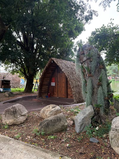 This is a landscape photograph, oriented vertically, showcasing a rustic scene in what appears to be a tropical or subtropical environment, likely Khánh Vĩnh, Vietnam.
The main subject is a small wooden hut with a thatched roof, nestled against a large, rough-barked tree trunk. The tree is adorned with abundant air plants, creating a natural, organic decoration. The hut itself has a weathered wooden door and a sloping thatched roof that extends over an entrance area. A red fire extinguisher and a pair of sandals are visible near the entrance, suggesting practical use of the structure. On the wooden wall of the hut, there is a red sign with some white text, and another smaller white sign with red characters. Part of the sign reads "B-5".
To the left of the hut, a large tree with dense green foliage dominates the frame, its branches reaching upwards and outwards. To the right of the hut, large grey rocks are scattered on the ground, which is covered with fallen leaves and sparse green vegetation. In the background, a body of water, possibly a pond or lake, is visible, with a hint of structures and greenery on the opposite bank, suggesting a park or resort setting.
The overall impression is one of a serene, natural setting, with a blend of man-made structures and lush vegetation. The lighting suggests it is daytime, possibly overcast or early morning/late afternoon, given the diffused light and lack of harsh shadows. There are no people visible in the frame. The scene evokes a sense of tranquility and a connection to nature.