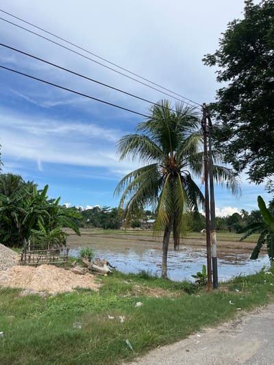 The image captures a rural landscape in Seunebobaru, Indonesia, with a flooded rice paddy in the middle ground. Several banana trees and a palm tree with coconuts are present, along with a utility pole and overhead wires. A pile of sand and gravel, a wooden fence, and a large piece of driftwood are visible on the left side of the frame. In the background, there are houses and lush vegetation. The sky is partly cloudy with a bright blue sky. The overall scene depicts a serene and natural environment.