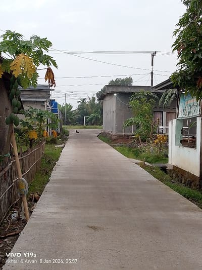 A long gray concrete road stretches between houses in a rural area on an overcast day. The road narrows slightly as it reaches the center. A lone chicken stands on the road in the distance. Lush greenery surrounds the road, including trees with hanging fruit on the left. Electrical wires run above the scene. A fence borders the left side of the road. A power pole stands on the right. The camera information is visible at the bottom left.
