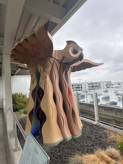 This media file shows a large, intricately carved wooden sculpture of a bird, possibly an eagle or owl, with outstretched wings. The sculpture is made of wood with natural and painted details, featuring swirling patterns and distinct facial features. It appears to be an outdoor installation.

The setting includes a modern building with large windows, a grey, wet, and reflective surface that looks like a paved area or roof after rain, and a bed of dark gravel with dry, tall grasses. The sky is overcast and grey, suggesting a cloudy or rainy day.

There is a metal plaque with text attached to a silver pole in front of the sculpture. The text on the plaque is partially legible. The title reads "Cedar Connection". Below that, it lists artists "Susan A. Point" and "2009". The rest of the text is too small to read clearly.

The overall mood is somewhat somber due to the overcast weather, but the vibrant colors and craftsmanship of the sculpture bring a focal point to the scene. The location cues, such as the modern architecture and the plaque, suggest an urban or public art space. The image is oriented vertically, with the sculpture's head positioned towards the top.