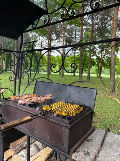 The image depicts an outdoor grilling scene. The primary subjects are a charcoal grill laden with corn on the cob and skewers of meat. The grill itself is weathered and made of dark metal, situated on a stone and metal structure. Next to the grill, a stack of firewood, primarily birch, is visible.
The setting appears to be a park or garden, with a backdrop of tall trees and a manicured lawn. The scene is viewed through an ornate black metal fence with decorative scrolls and a golden accent. The trees are primarily coniferous, with some deciduous trees visible further in the distance. The lighting suggests it is daytime, with overcast or diffused light, hinting at a mild or cloudy day. There are no people visible in the frame.
The activity taking place is the grilling of food, with the corn and meat actively cooking over the charcoal. Steam is visible rising from the meat, indicating it is in the process of being cooked.
A notable detail is the text visible on the wooden handle of a grilling tool: "FOREST".
The overall impression is one of a relaxed outdoor gathering or meal preparation in a natural, park-like setting in Levkovo, Russia.