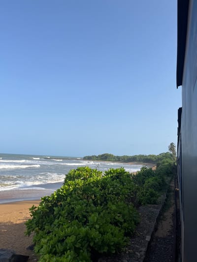 A medium shot captures a view from a train window, looking out at a tropical coastline. The sky is a clear, pale blue, with no clouds visible. The ocean is a muted blue-green, with gentle waves rolling onto a sandy beach. Lush green vegetation, including bushes and trees, lines the edge of the beach. A train car is visible on the right side of the frame, its dark blue exterior taking up a significant portion of the image. The scene is devoid of people or any discernible activity. The image appears to be taken during daylight hours, with soft sunlight illuminating the landscape.