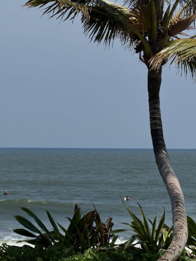 The scene depicts a coastal landscape in Belalang, Indonesia, under a clear, light blue sky. A large, curved palm tree trunk dominates the right side of the frame, extending from the bottom to the upper right corner, with green fronds visible at the top. The foreground features dense green tropical foliage. In the mid-ground, the dark blue-green ocean shows minor wave activity. Two individuals are present in the water: one on the far left, partially submerged, wearing a light-colored head covering and dark apparel, and another further right, seated on a small white surfboard, wearing a dark top, actively engaged in or preparing for surfing. Sunlight illuminates the scene from the left, casting shadows on the palm trunk.