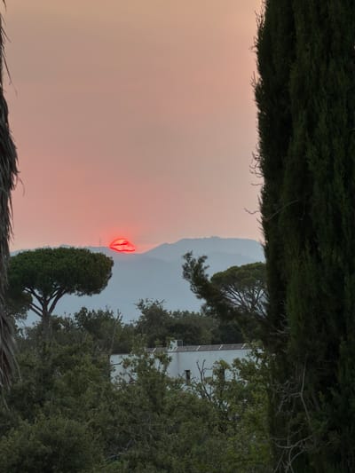 The image captures a sunset in Vallcanera Parc, Spain, framed by foliage on the left and a tall cypress tree on the right. In the distance, rolling hills are silhouetted against a hazy, pink-orange sky. A bright red, unusual cloud formation, resembling lips, is visible near the horizon, with the setting sun behind it. A single electrical pylon is discernible behind the red cloud. In the foreground, a white building with solar panels is partially obscured by dense green trees and shrubbery.