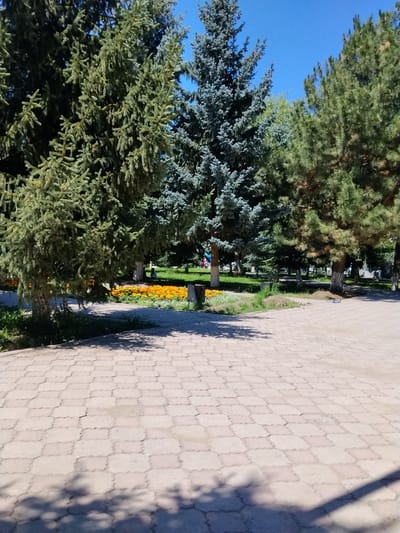 The image depicts a park area in Karakol City, Kyrgyzstan, characterized by a paved walkway in the foreground, composed of interlocking light-colored hexagonal tiles. Lush green trees, including several mature conifer species, dominate the background, creating a natural canopy. In the middle ground, a vibrant flower bed filled with bright orange flowers adds a splash of color. A few scattered trees with rough bark are interspersed among the conifers. In the far background, the scene transitions to a grassy area, and the blue sky is visible above. The overall impression is that of a tranquil, well-maintained urban park.