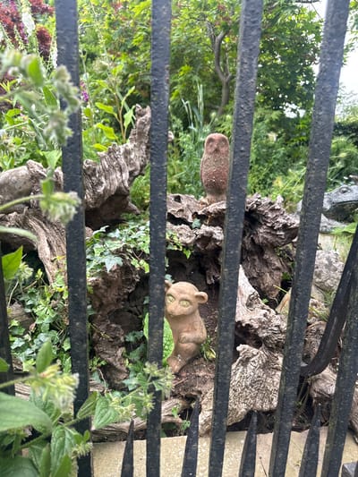 This is a medium-shot, eye-level, outdoor photograph taken through a black metal fence of a garden. In the foreground, the fence bars are prominent and slightly out of focus. Beyond the fence, a garden scene is visible, characterized by lush greenery, weathered wood, and decorative garden ornaments.

The garden features a variety of plants, including ivy climbing over gnarled pieces of driftwood. There are also flowering plants with purple and white blooms, as well as other foliage in shades of green and red.

Prominently placed among the driftwood are two garden ornaments. The first is a small, light brown statue of an owl, positioned atop a piece of wood. Further back and slightly to the right, a larger, greyish-green statue of a frog or toad is visible, resting amidst the greenery. In the lower portion of the image, to the left of center, another small statue, this one resembling a monkey or a similar creature with large eyes, is positioned on a piece of wood.

The overall impression is one of a well-established, somewhat overgrown garden with a whimsical touch due to the garden ornaments. The lighting suggests it is daytime, possibly overcast, as there are no strong shadows. The image does not contain any people. The location is described as being in the city of Leominster, United Kingdom.