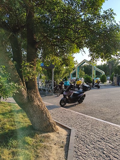 The media file depicts an outdoor scene with a large tree in the foreground, its trunk angled towards the left side of the frame. The tree is leafy and casts a shadow. Beyond the tree, a paved walkway made of textured grey stones leads towards a road where several scooters and bicycles are parked. In the background, an arched gateway with intricate turquoise and gold patterns stands against a clear blue sky. Behind the gateway, there are parked cars and lush green trees. The lighting suggests it is daytime, likely late afternoon or early morning due to the long shadows. The presence of parked vehicles and the arched gateway suggest this might be an entrance to a public space or a cultural site. There is some visible text on the blue sign in the background, but it is too blurry to read. There are no people clearly visible in the scene. The weather appears to be pleasant and sunny.