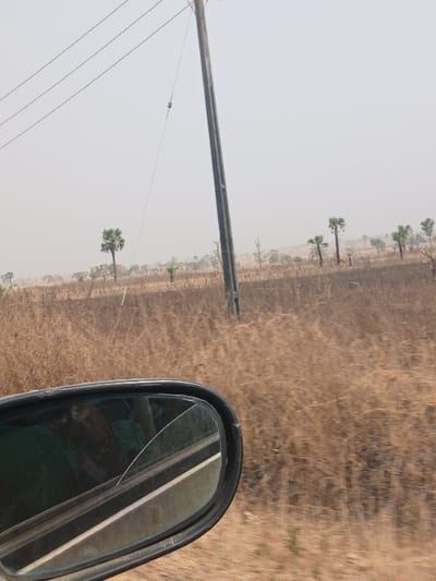 The image captures a dry, open landscape within the city of Bokana, Nigeria, viewed from a moving vehicle. In the lower-left foreground, the black casing and fractured glass of a car's side mirror are prominent, reflecting a segment of a paved road with a white lane marking and a blurred human arm or hand, indicating an occupant inside the vehicle. The midground features an extensive field of dry, light brown grasses and sparse, low-lying vegetation. Several small trees, some resembling palm trees, are scattered across the landscape, with a distinct isolated palm-like tree to the left of a tall, dark utility pole. This utility pole stands prominently on the right side of the frame, supporting multiple overhead lines, one of which has a small, dark cylindrical object suspended from it. The background consists of a pale, hazy sky, suggesting atmospheric dust or a specific weather condition. The overall environment appears rural or semi-arid, characteristic of a dry season.