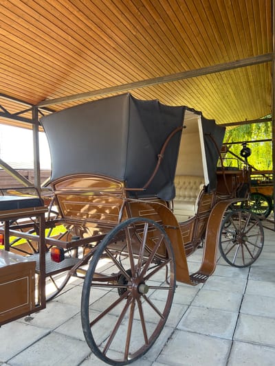 The image shows a brown horse-drawn carriage with a black canopy parked under a wooden-slatted roof. The carriage has two large spoked wheels on each side and a padded interior with light-colored upholstery. There is a second, partially visible carriage in the background, which appears to be green and has a similar wheel design. The carriages are parked on a paved surface made of light-colored square tiles. The scene appears to be outdoors, with greenery and trees visible behind the carriages, suggesting a park or historical site. The question asks for the location in Plastunivska, Russia, but no visual elements in the image confirm this specific location.