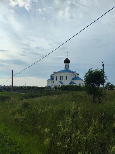 An exterior, eye-level, medium shot captures a white Orthodox church with blue roofs and golden domes situated on a grassy hill under a cloudy sky. A black wire runs diagonally across the frame, obscuring the top portion of the sky. In the foreground, tall, green grass with some white wildflowers covers the ground. A utility pole with wires stands to the left, and another utility pole with wires is visible to the right, partially obscured by a leafy green tree. A black metal fence encloses the area around the church. In the background, buildings and trees can be seen on the horizon. The scene depicts a serene, rural setting with a prominent religious structure.
