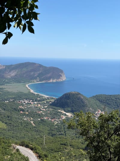 This is a high-angle, long shot of a coastal landscape in Novoselje, Montenegro. The scene is dominated by a sweeping view of the Adriatic Sea, a crescent-shaped beach with a light-colored sand, and lush, green, forested hillsides. In the mid-ground, a small town with red-tiled roofs is nestled among the trees, with a road winding through the settlement. The distant mountains are a darker green, and the sea is a deep blue under a clear, bright sky. In the foreground, the branches of a tree with green leaves frame the left side of the image, and another tree with similar foliage is visible on the right. A curved road with white lines is visible in the lower left portion of the image, with a single utility pole on the right side of the road. The overall impression is one of natural beauty and a peaceful, rural setting.
