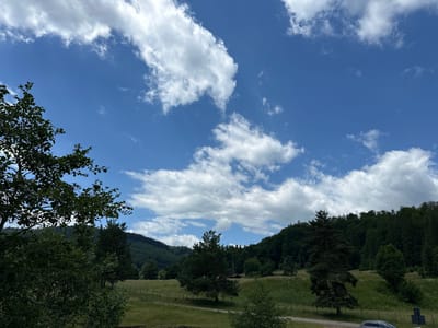 The image depicts a bright, sunny day with a clear blue sky scattered with fluffy white clouds. The foreground is dominated by lush green trees, some with full foliage and others appearing sparser. Beyond the trees, a rolling green landscape unfolds, characterized by grassy fields and rolling hills covered in dense forests. A dirt road or path winds through the field. In the distance, the dark green expanse of a forest covers the hillsides. A small building with a dark roof is partially visible nestled within the trees. The overall scene is one of natural beauty and tranquility, suggesting a rural or semi-rural setting. The location is identified as Mitocu Bălan, Romania.