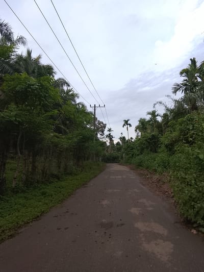 An asphalt road cuts through a dense, green, tropical landscape. Palm trees and other lush vegetation line both sides of the road, creating a natural tunnel effect. Overhead, utility lines are strung between poles, crisscrossing the cloudy sky. The road is empty, with no vehicles or pedestrians visible. The scene evokes a sense of quiet solitude in a rural Indonesian setting. This image was taken in Meunasah Mesjid, Indonesia.
