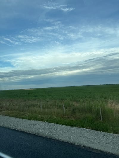 The image depicts a rural landscape under a partly cloudy sky. In the foreground, a dark asphalt road runs diagonally from the bottom left corner, bordered by a gravel shoulder. Beyond the shoulder, a grassy field with a wire fence and wooden posts stretches into the midground. The field is primarily composed of green vegetation, with some taller, drier grasses present. In the background, a vast expanse of green crops is visible, organized in neat rows, suggesting agricultural cultivation. The horizon is flat and indistinct, with a faint line of distant trees or structures. The sky is a mixture of blue and white, with elongated, wispy clouds that appear to be moving. There are no people or animals visible in the frame, and no specific identifying markers for the location of Bozduganovo, Bulgaria. The scene appears to be a typical agricultural area on a cloudy day.