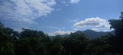 A daytime view showcases lush green trees in the foreground, partially obscuring the base of a mountain range in the distance. The mountains are covered in dense vegetation. Above the treeline, a vibrant blue sky is scattered with fluffy white clouds. Sunlight illuminates the scene, creating a picturesque and tranquil natural landscape.