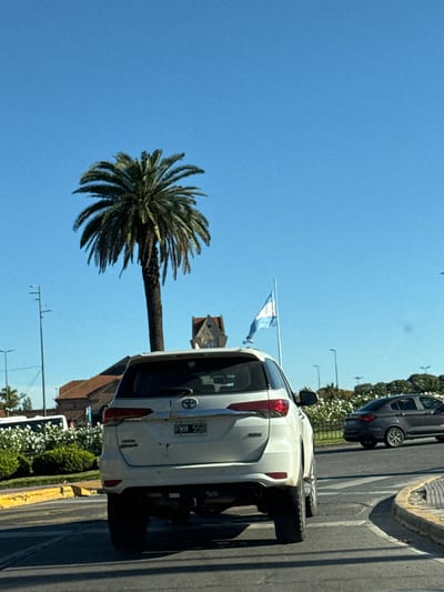 The image shows a street scene in Tigre, Argentina. A white Toyota SUV with license plate "PMM 558" is parked on the right side of a paved road. A dark-colored car is ahead of it. A palm tree is visible to the left, against a clear blue sky. An Argentinian flag is attached to the white car. A building with a clock tower is also in view. Green foliage is next to the road. The image is rotated.