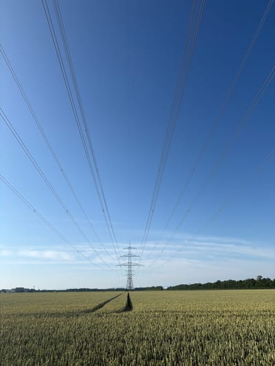 The image is a landscape photo taken in Poing, Germany, featuring a vast field of ripening wheat under a clear blue sky. Power lines stretch across the frame, converging towards a large transmission tower in the distance. A tire track cuts a path through the wheat field, leading towards the tower. In the background, a line of trees borders the horizon, and a few buildings are visible to the far left. The sun is shining, casting subtle shadows and highlighting the texture of the wheat. The scene is devoid of any people or animals.