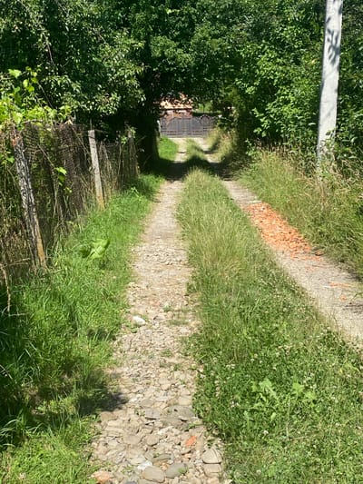 The image depicts a sunlit, overgrown rural path leading towards a dark metal gate and a building partially obscured by trees in Luh, Ukraine. The path is flanked by tall green grass and rough, rocky terrain. On the left side, a dilapidated wire fence supported by concrete posts runs along the path. On the right side, a concrete utility pole stands tall amidst the vegetation, with a pile of broken red bricks scattered on the path nearby. The dense foliage overhead casts dappled shadows on the ground, creating a sense of seclusion and natural decay. The overall impression is one of a neglected, yet naturally beautiful, rural landscape.