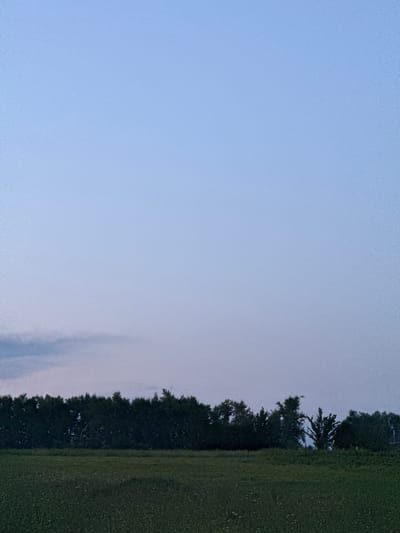 The image depicts a serene, natural landscape under a twilight sky. In the foreground, a field of green grass is visible, dotted with small white flowers. Beyond the field, a dense line of trees forms a dark silhouette against the horizon. The sky is a gradient of pale blue to a lighter shade near the horizon, suggesting the end of the day. There are no people or specific man-made structures immediately apparent in the scene, only the vast expanse of sky and vegetation. The image appears to be a general landscape shot, possibly taken in a rural or natural setting like the outskirts of Imelevo, Russia, where open fields and forests are common.