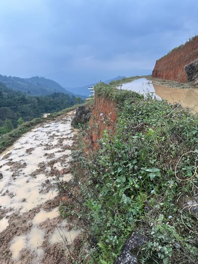 The image displays a serene, rural agricultural landscape, likely a series of terraced fields in a mountainous region, consistent with Nậm Dịch Commune, Vietnam. In the foreground and midground, several flooded terraced paddies are visible, filled with light brown, muddy water. Clumps of disturbed earth protrude from the water, suggesting recent plowing or preparation for planting. The retaining walls and embankments of these terraces are composed of reddish-brown soil, characteristic of lateritic earth.
The right side of the image features dense green vegetation, weeds, and some bare branches along the edges of the fields, with scattered small white flowers. To the upper left, a significant, steep bank of reddish-brown earth rises prominently. In the distance on the left, faintly visible white structures, possibly posts or a fence, are situated on an embankment.
The background reveals a panorama of hazy, tree-covered mountains under a light blue sky that shows hints of soft cloud cover. The overall lighting suggests it is daytime, possibly morning or early afternoon, with a diffuse and gentle quality. The muddy, water-filled fields indicate conditions suitable for rice cultivation, either post-harvest or in preparation for the next planting cycle, influenced by recent rain or intentional irrigation. There are no people or discernible text in the image.