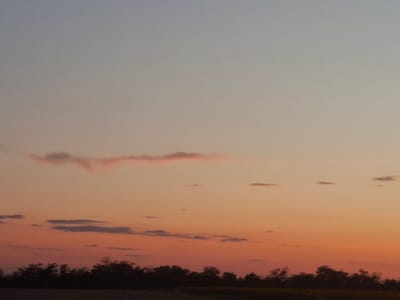The image is a photograph of a sunset over a rural landscape, likely in or near the village of Topaly, Ukraine. The sky is filled with a gradient of colors, transitioning from a pale blue at the top to warm oranges and pinks near the horizon. wispy, elongated clouds are visible in the upper portion of the sky, one of which has a pinkish hue. Below the sunset, a dark silhouette of trees forms a treeline, obscuring the details of the land beyond. The foreground appears to be a dark field or ground. The overall impression is one of a peaceful, serene evening. There are no people or specific structures visible in the image, suggesting it's a natural landscape scene. The resolution of the image is moderate, with some visible graininess, indicative of a photograph taken with a handheld camera in low light conditions.