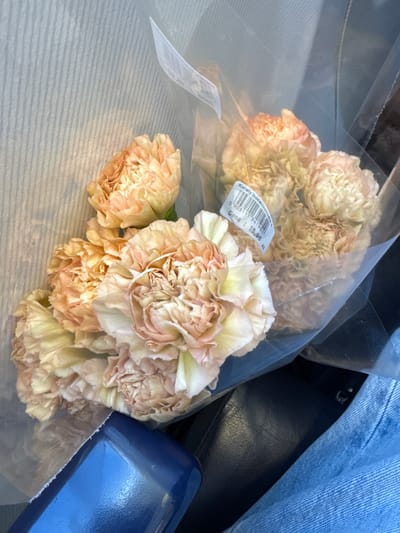A close-up shot shows a bouquet of peach-colored carnations, partially wrapped in clear plastic. A price sticker is visible on the plastic wrap, with the barcode and the price "Gena: 15.90 zl". The flowers rest on a grey, horizontally-lined surface, possibly a car seat. Adjacent to the flowers, there is a section of a dark blue object and a portion of blue denim fabric covering what appears to be a dark leather surface. There is no direct evidence to place the location specifically in the city of Groitzsch, Germany.
