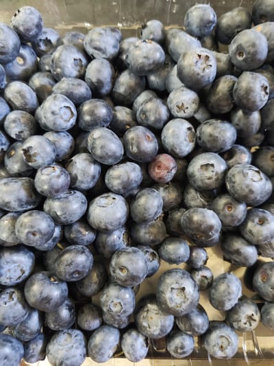 The image shows a close-up, overhead view of a large quantity of blueberries, densely packed together. The blueberries are a deep blue-purple color with a powdery bloom, and some show the characteristic star-shaped blossom end. They appear fresh and are likely in a container, suggested by the slight reflection and texture at the top of the frame. The lighting is even, and the focus is sharp on the majority of the berries, allowing for detailed observation of their texture and shape. There are no people or any context suggesting a specific location beyond being a collection of blueberries. The location of Mieszkowice, Poland, is not depicted in this image.